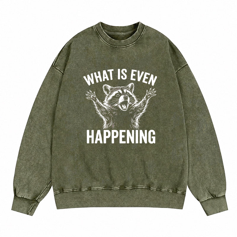What Is Even Happening Washed Crewneck Sweatshirt