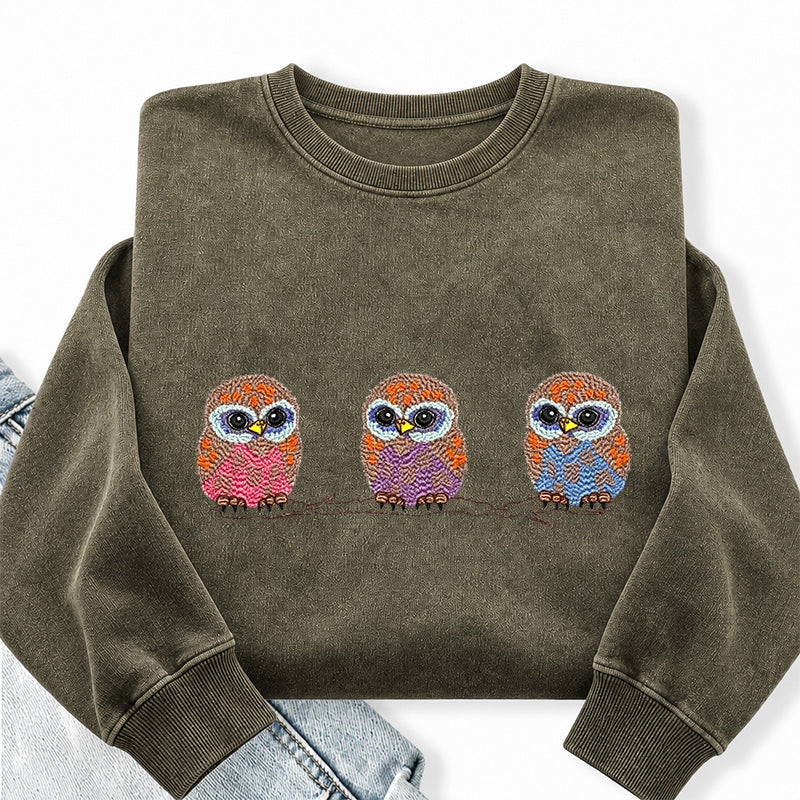 Embroidered Cute Owl Washed Crewneck Sweatshirt