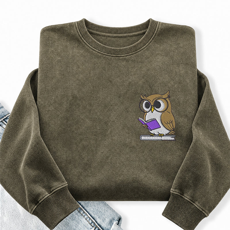 Embroidered Owl Reading Washed Crewneck Sweatshirt