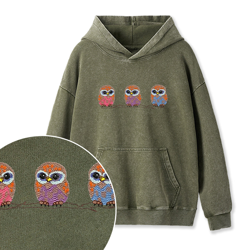 Embroidered Cute Owl Washed Hoodie