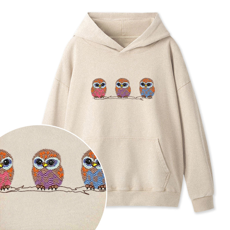 Embroidered Cute Owl Washed Hoodie