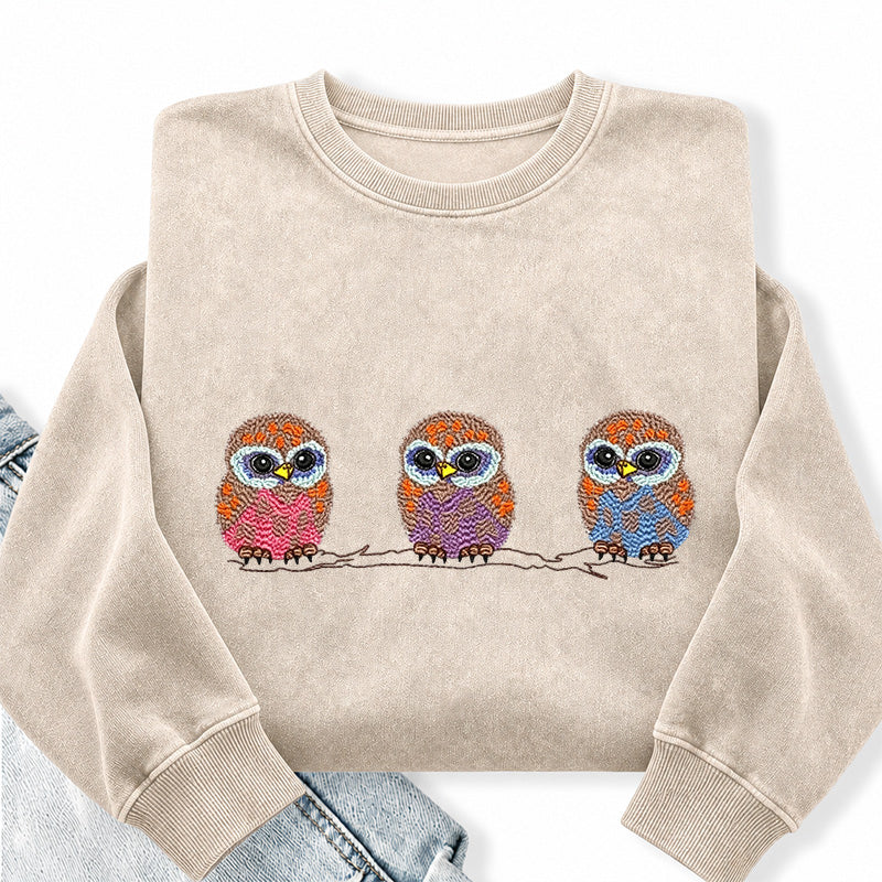 Embroidered Cute Owl Washed Crewneck Sweatshirt