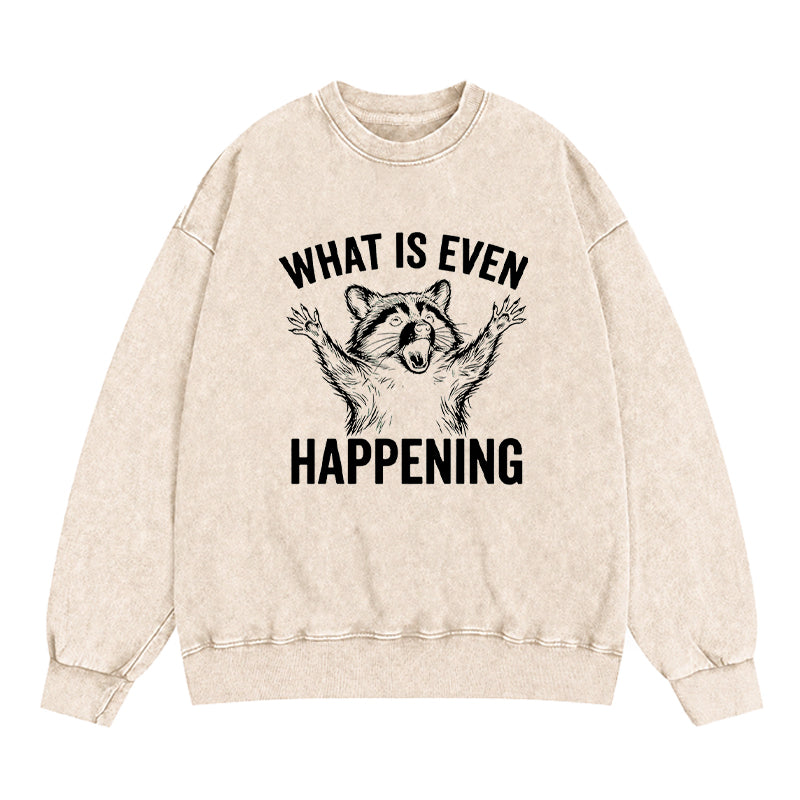 What Is Even Happening Washed Crewneck Sweatshirt