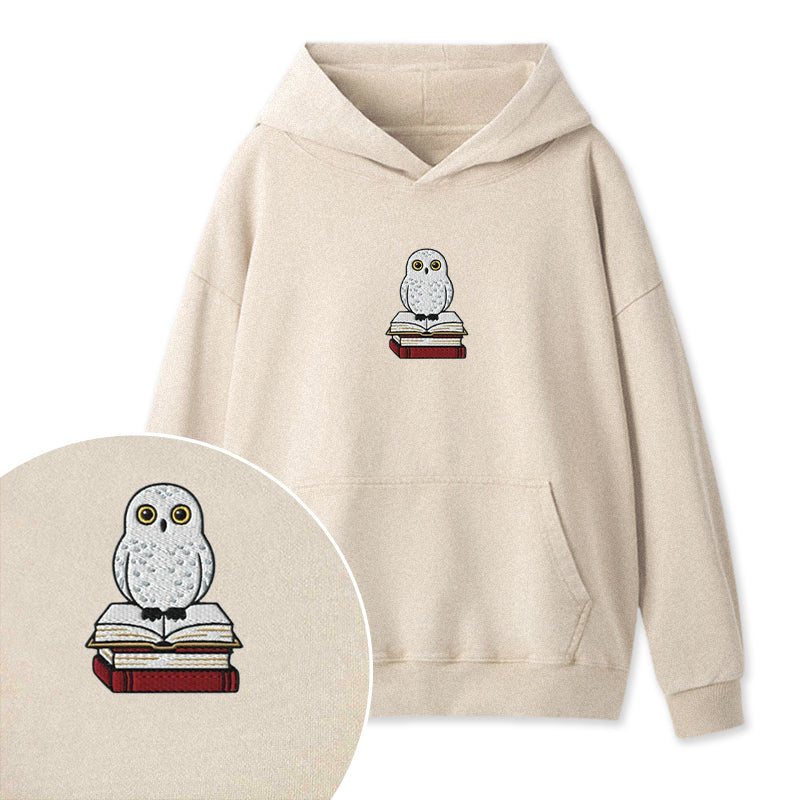Embroidered Snow Owl On Bookstack Washed Hoodie