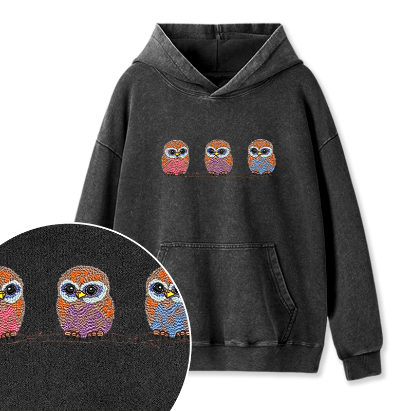 Embroidered Cute Owl Washed Hoodie
