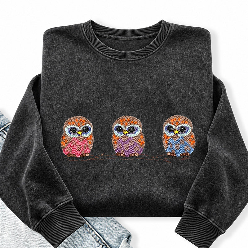 Embroidered Cute Owl Washed Crewneck Sweatshirt