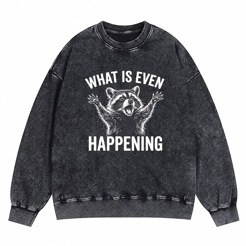 What Is Even Happening Washed Crewneck Sweatshirt