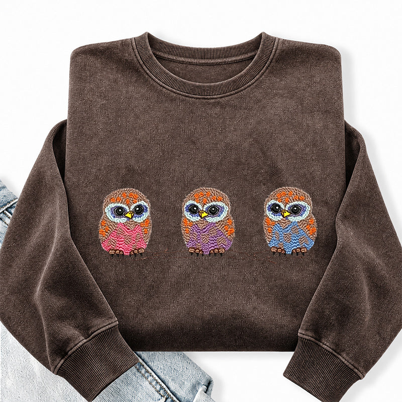 Embroidered Cute Owl Washed Crewneck Sweatshirt