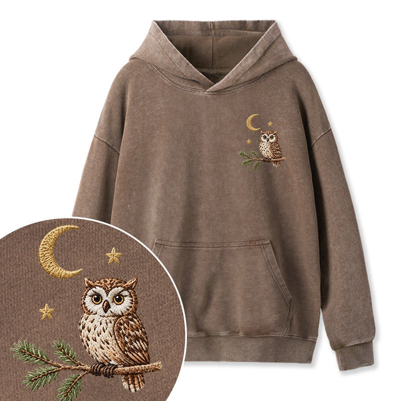 Embroidered Night Owl Washed Hoodie