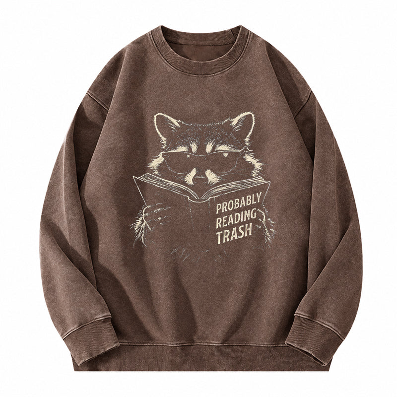 Probably Reading Trash Raccoon Washed Crewneck Sweatshirt
