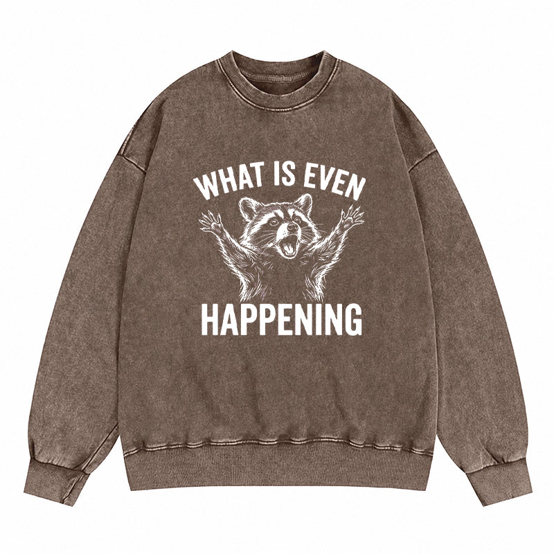 What Is Even Happening Washed Crewneck Sweatshirt