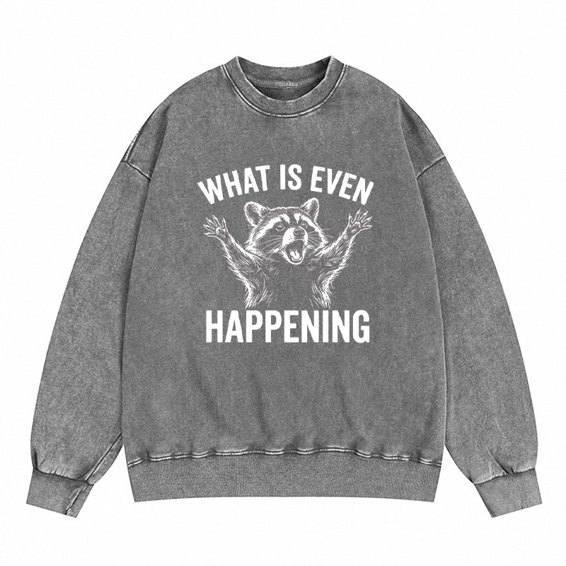 What Is Even Happening Washed Crewneck Sweatshirt