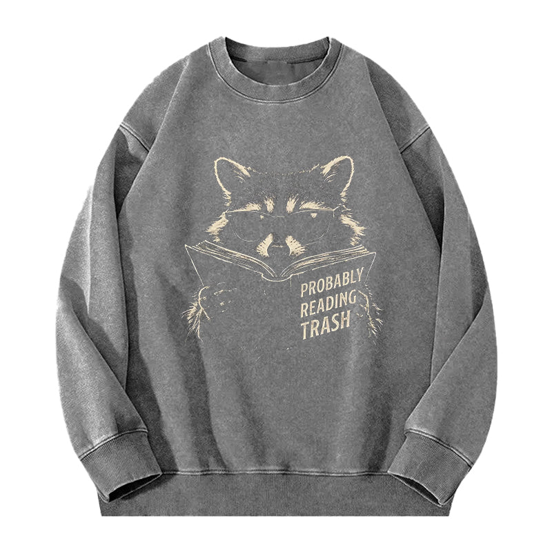 Probably Reading Trash Raccoon Washed Crewneck Sweatshirt