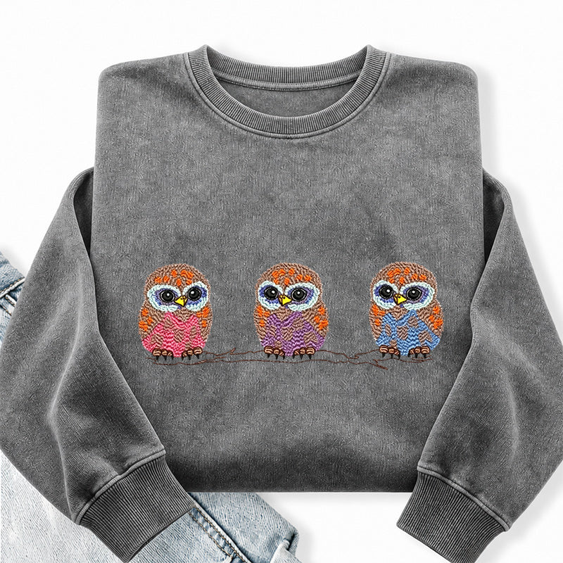 Embroidered Cute Owl Washed Crewneck Sweatshirt