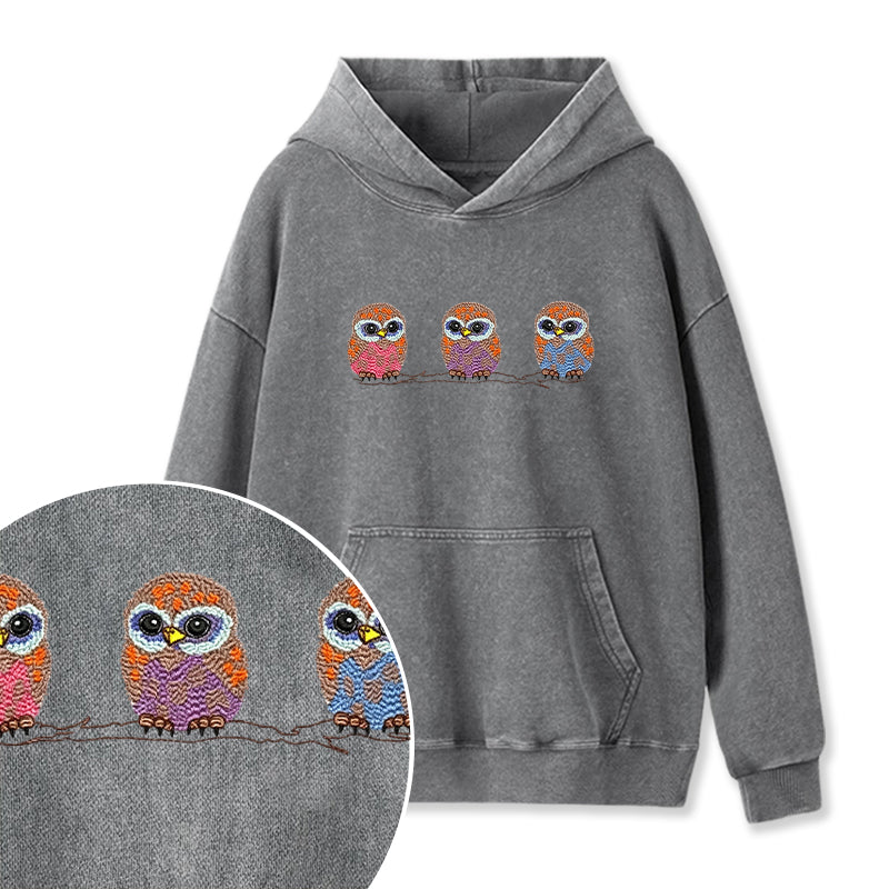 Embroidered Cute Owl Washed Hoodie