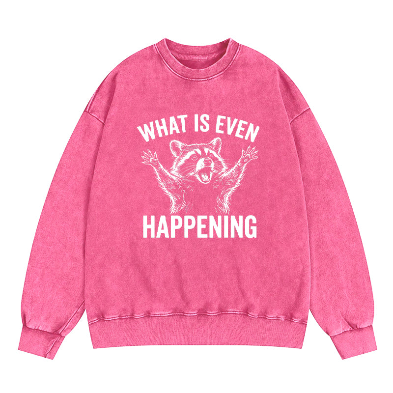 What Is Even Happening Washed Crewneck Sweatshirt