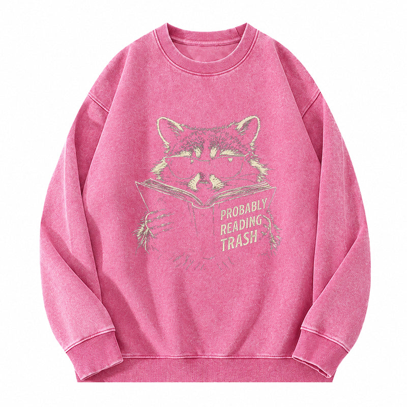 Probably Reading Trash Raccoon Washed Crewneck Sweatshirt