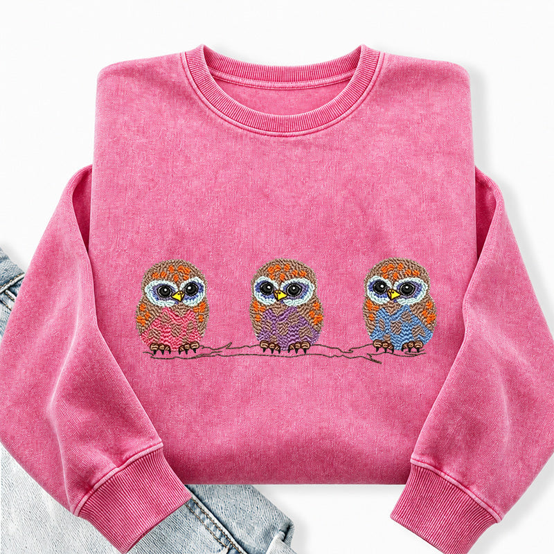 Embroidered Cute Owl Washed Crewneck Sweatshirt