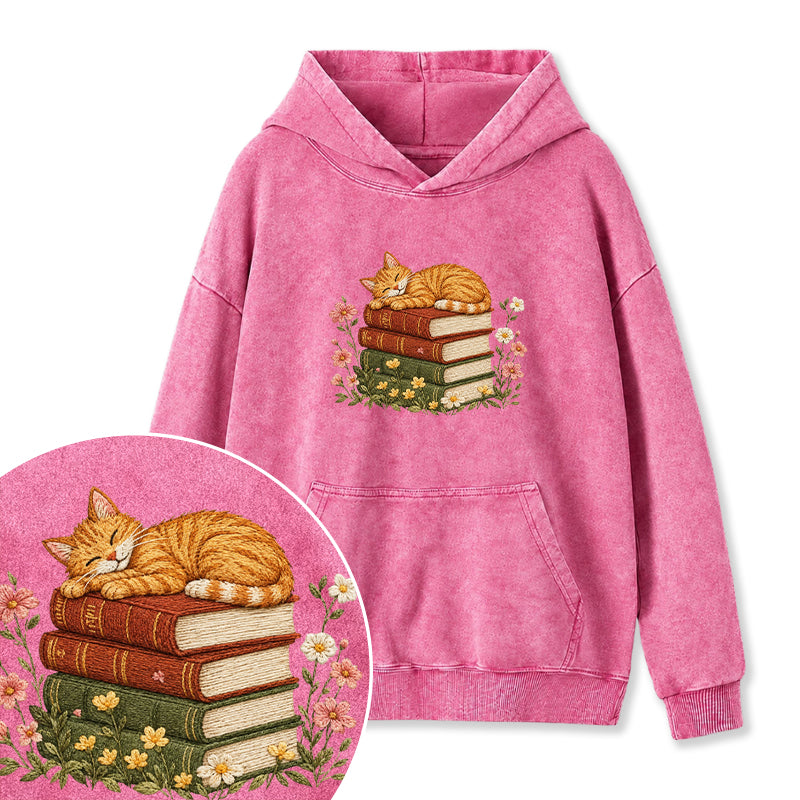 Embroidered Cat Sleeping On Books Washed Hoodie