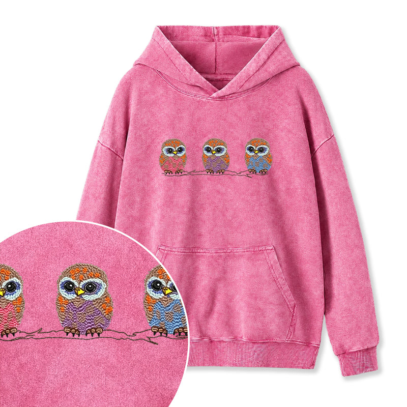 Embroidered Cute Owl Washed Hoodie