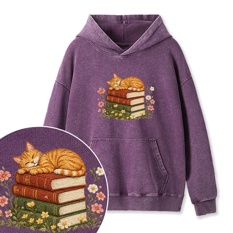 Embroidered Cat Sleeping On Books Washed Hoodie