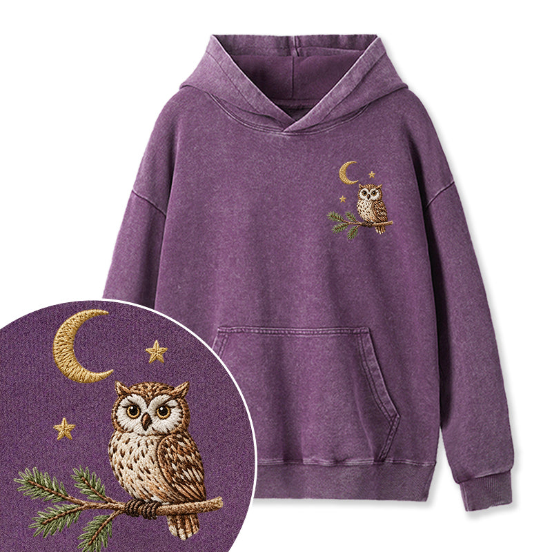 Embroidered Night Owl Washed Hoodie