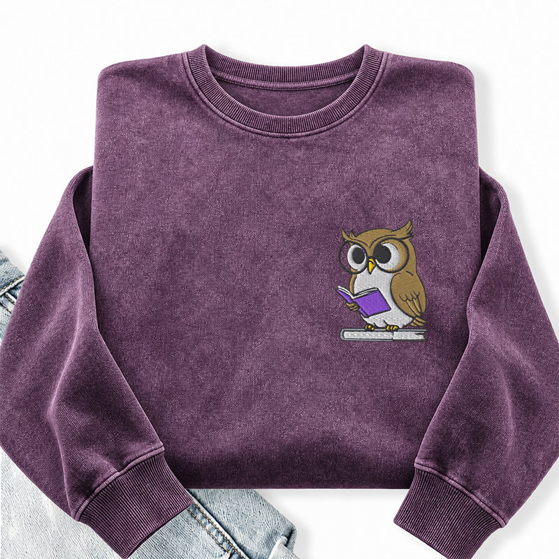 Embroidered Owl Reading Washed Crewneck Sweatshirt