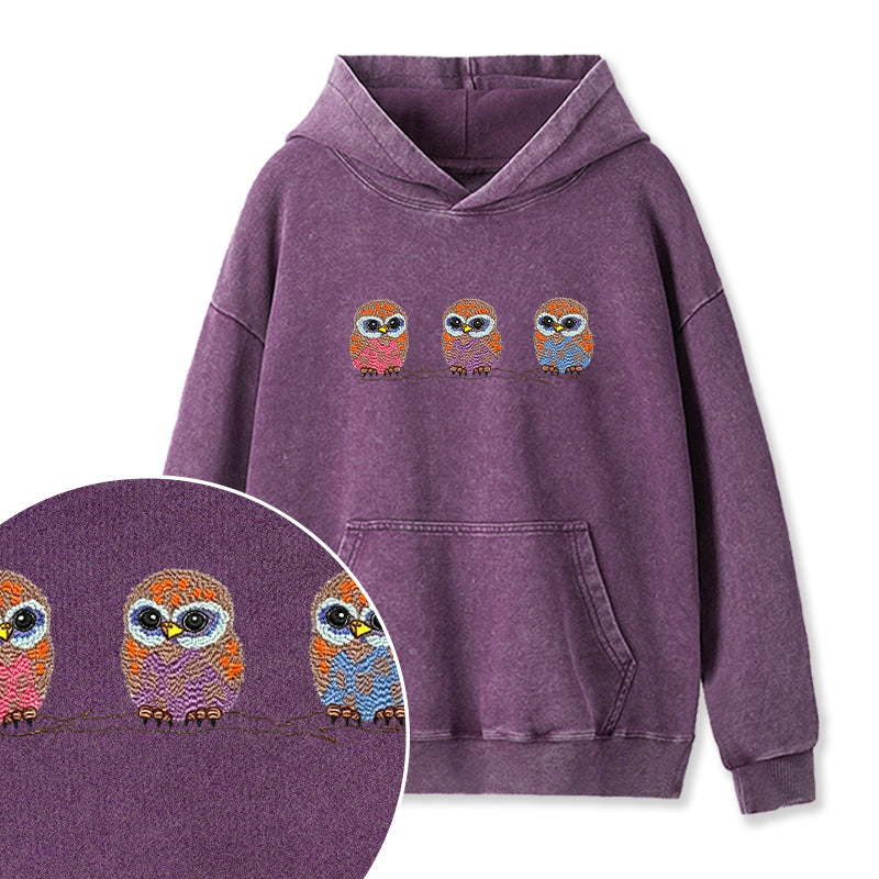 Embroidered Cute Owl Washed Hoodie