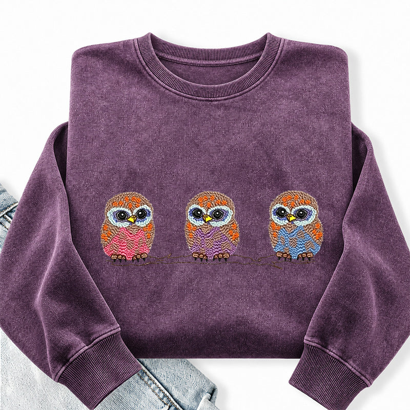 Embroidered Cute Owl Washed Crewneck Sweatshirt