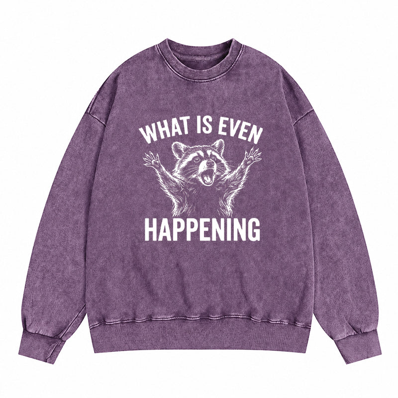 What Is Even Happening Washed Crewneck Sweatshirt