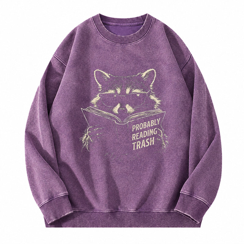 Probably Reading Trash Raccoon Washed Crewneck Sweatshirt